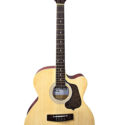 Gomiczom V-301 Semi Acoustic Guitar with Bag, Plectrums, Belt and Extra String Set