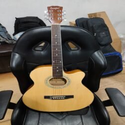 kaspar semi acoustic guitar